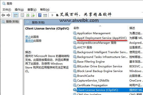 組件服務計算機卡死？解析wsappx進程占用系統資源過多導致電腦卡死的解決方法